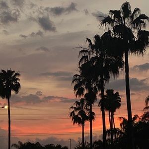 Meet your Posher, Lia